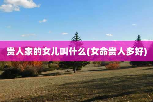 贵人家的女儿叫什么(女命贵人多好)