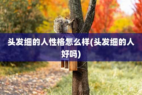 头发细的人性格怎么样(头发细的人好吗)