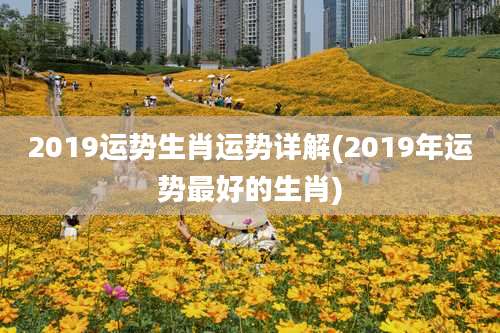 2019运势生肖运势详解(2019年运势最好的生肖)