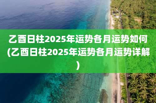乙酉日柱2025年运势各月运势如何(乙酉日柱2025年运势各月运势详解)