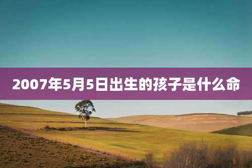 2007年5月5日出生的孩子是什么命