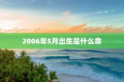 2006年5月出生是什么命
