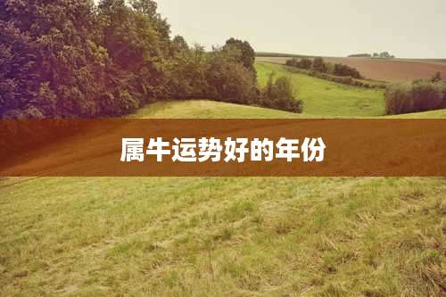 属牛运势好的年份