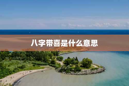 八字带喜是什么意思
