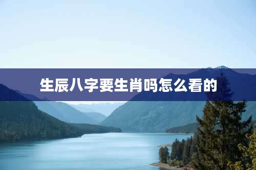 生辰八字要生肖吗怎么看的