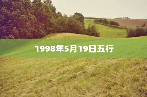 1998年5月19日五行