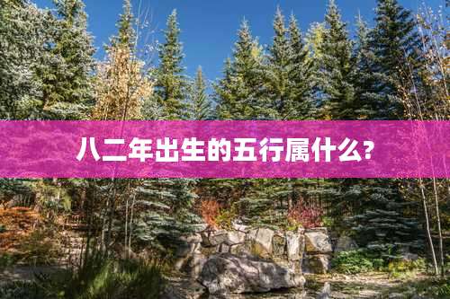 八二年出生的五行属什么?