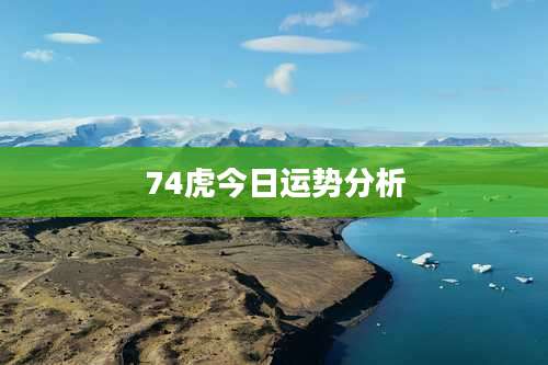 74虎今日运势分析