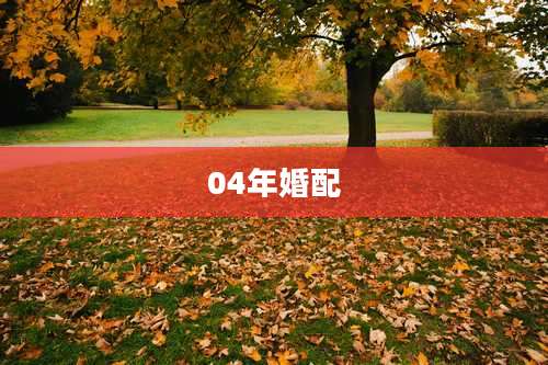 04年婚配
