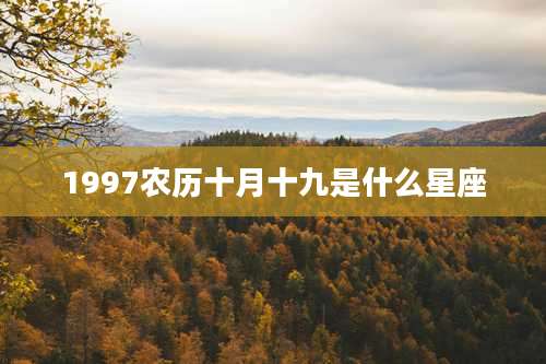 1997农历十月十九是什么星座
