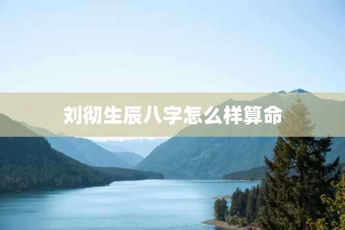 刘彻生辰八字怎么样算命