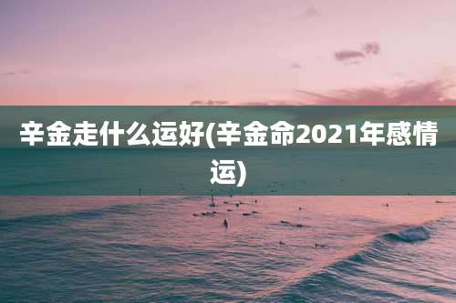 辛金走什么运好(辛金命2021年感情运)