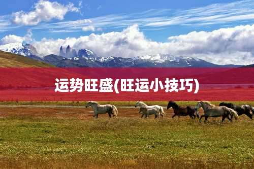 运势旺盛(旺运小技巧)