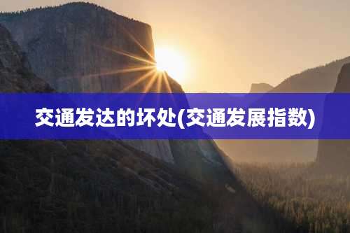 交通发达的坏处(交通发展指数)