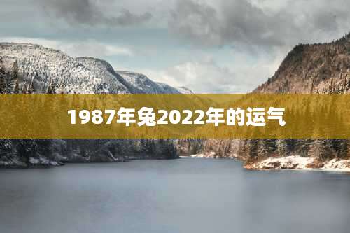 1987年兔2022年的运气