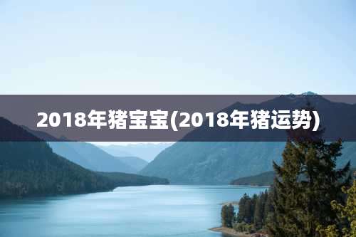2018年猪宝宝(2018年猪运势)