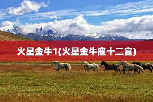 火星金牛1(火星金牛座十二宫)
