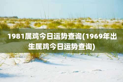 1981属鸡今日运势查询(1969年出生属鸡今日运势查询)