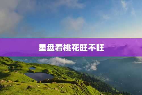 星盘看桃花旺不旺