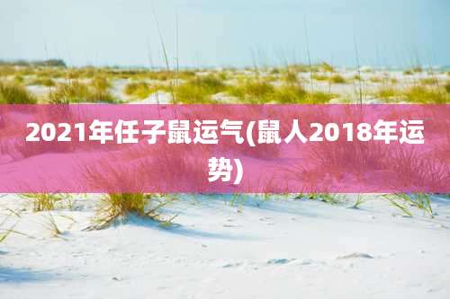 2021年任子鼠运气(鼠人2018年运势)