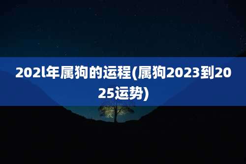 202l年属狗的运程(属狗2023到2025运势)