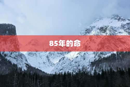85年的命