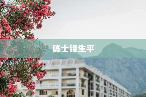 陈士铎生平