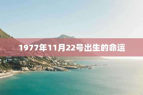 1977年11月22号出生的命运