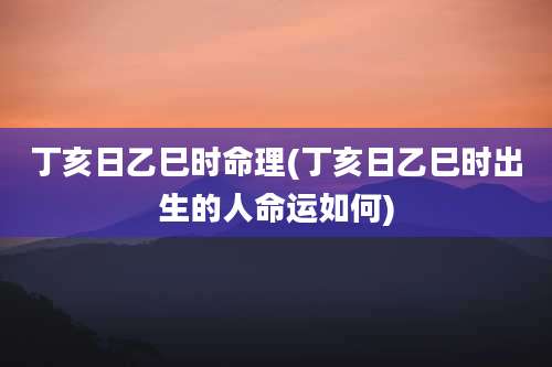 丁亥日乙巳时命理(丁亥日乙巳时出生的人命运如何)