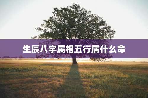 生辰八字属相五行属什么命