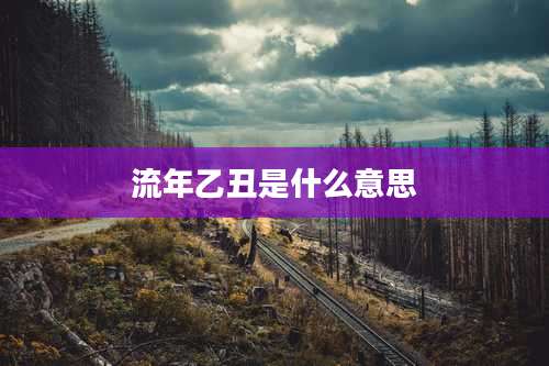 流年乙丑是什么意思