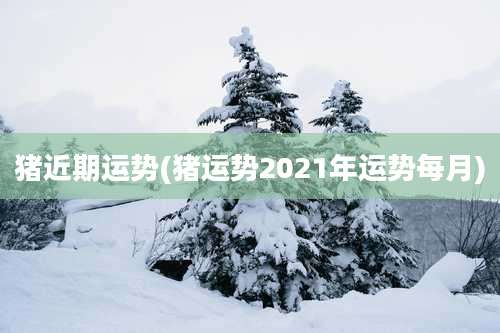 猪近期运势(猪运势2021年运势每月)
