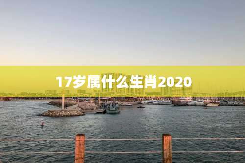 17岁属什么生肖2020