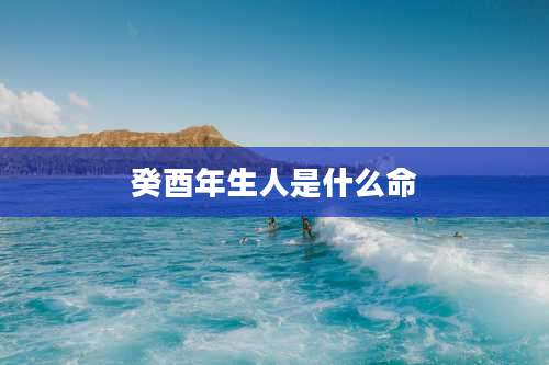 癸酉年生人是什么命