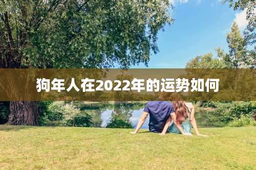 狗年人在2022年的运势如何