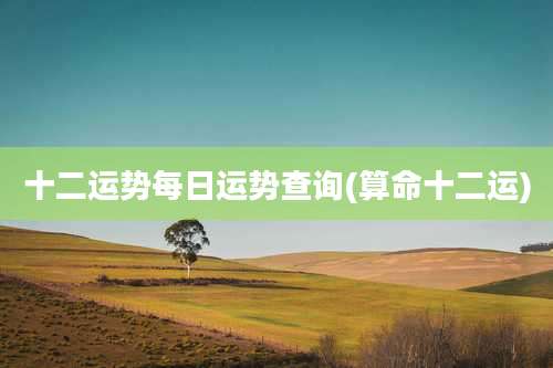 十二运势每日运势查询(算命十二运)