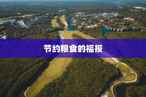 节约粮食的福报