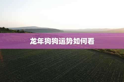 龙年狗狗运势如何看