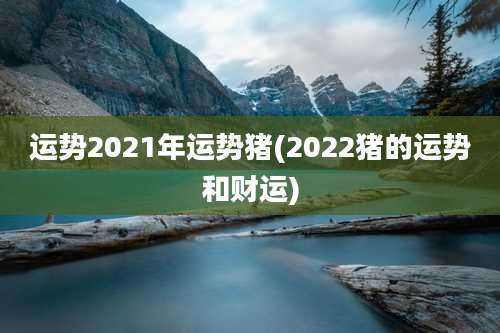 运势2021年运势猪(2022猪的运势和财运)