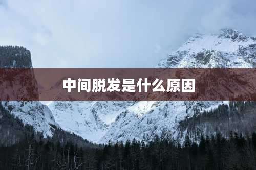 中间脱发是什么原因