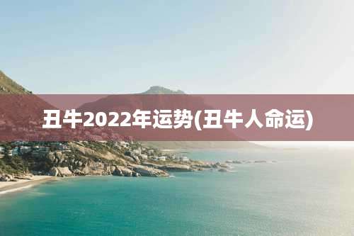 丑牛2022年运势(丑牛人命运)