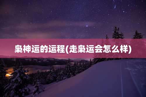 枭神运的运程(走枭运会怎么样)