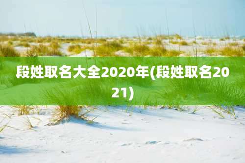 段姓取名大全2020年(段姓取名2021)