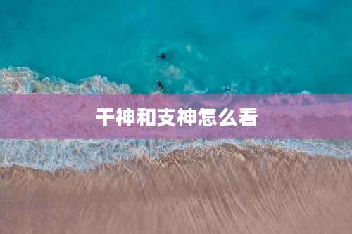 干神和支神怎么看