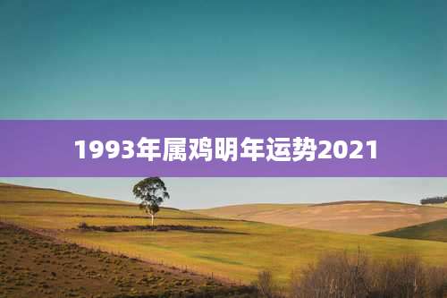 1993年属鸡明年运势2021