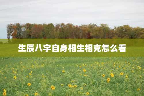 生辰八字自身相生相克怎么看