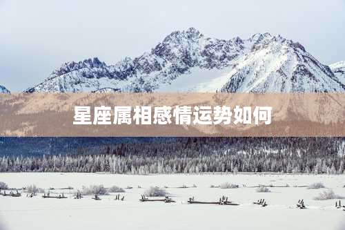 星座属相感情运势如何
