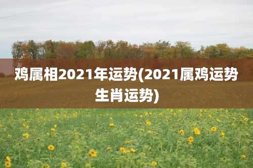 鸡属相2021年运势(2021属鸡运势生肖运势)