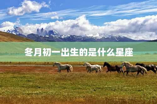 冬月初一出生的是什么星座