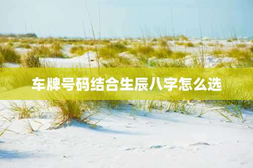 车牌号码结合生辰八字怎么选